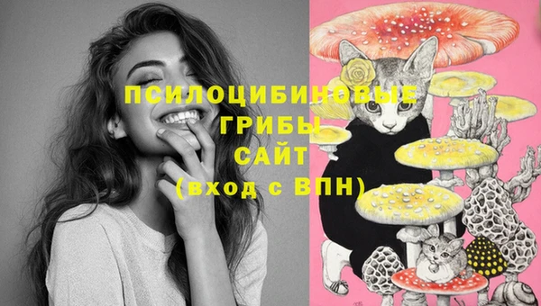 марки lsd Приозерск