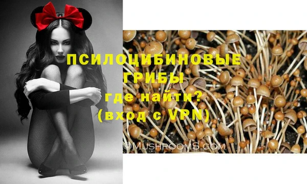 марки lsd Приозерск