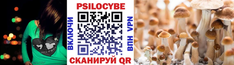 Галлюциногенные грибы MAGIC MUSHROOMS  наркошоп  Хилок 
