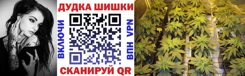 Бошки марихуана ГИДРОПОН  Хилок 